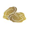Mel_ypertrofes_b_06